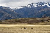 Urubamba valley, dominated by the imposing summits of the Cordillera de Vilcabamba 